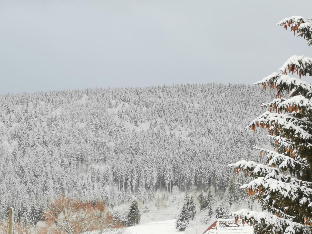 Höhengasthof Rössle Hotell Schluchsee Exteriör bild